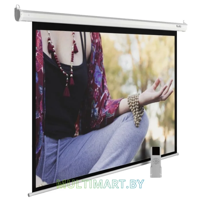 Проекционный экран CACTUS MotoExpert 280x210 (CS-PSME-280x210-WT)
